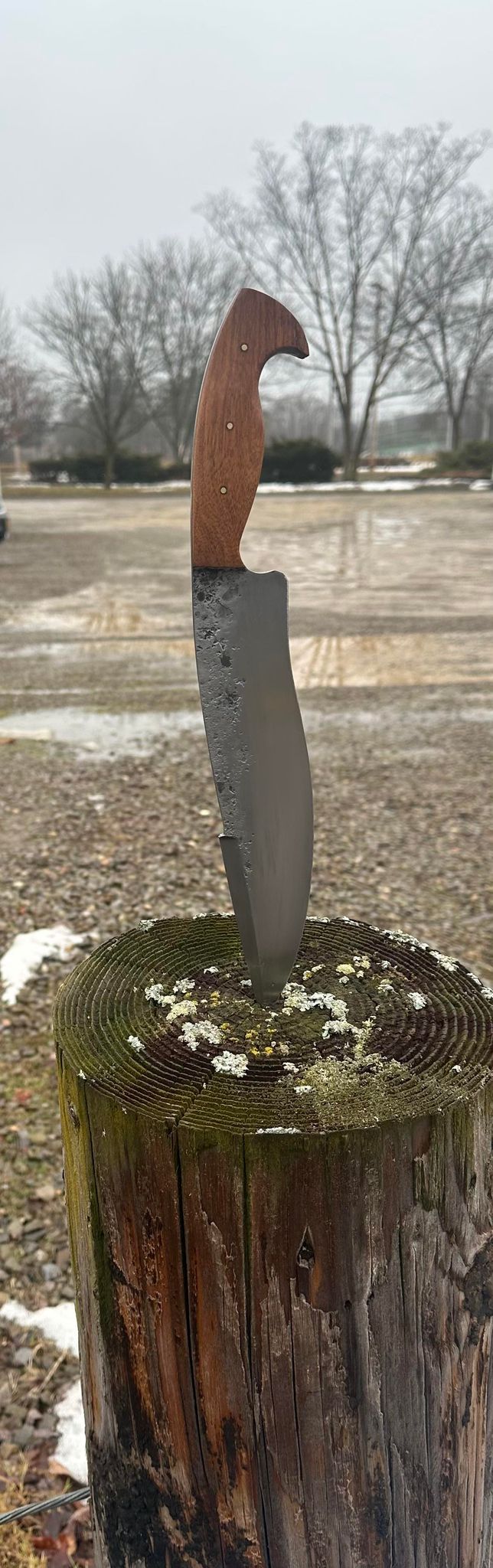 Custom Hunter Knife